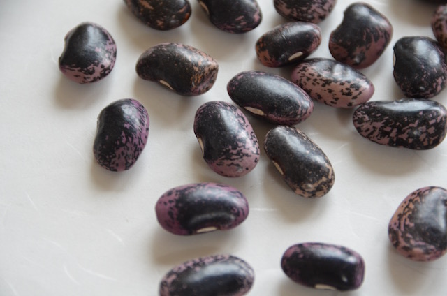 紫花豆（べにばないんげん）：ダイエットの味方 | Delicious Life