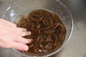ぬるま湯にオレガノ染めした毛糸を入れ洗っているところ
