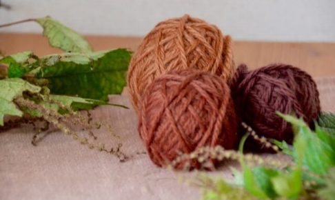 アカソ染めの毛糸とアカソ（植物）が机の上に飾られている